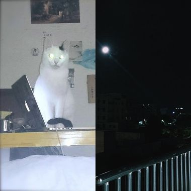 我要回家了 你要跟我走吗