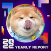 2022 个人年度精选