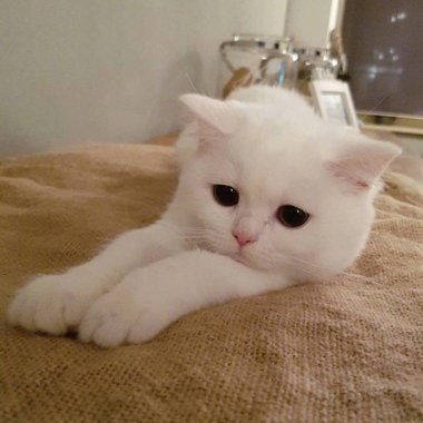 生活