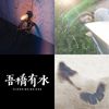 抒情?
