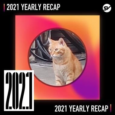 2021 个人年度精选之最
