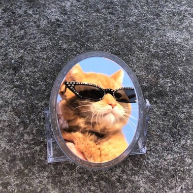 傻子与白痴