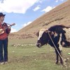 喜欢的歌曲