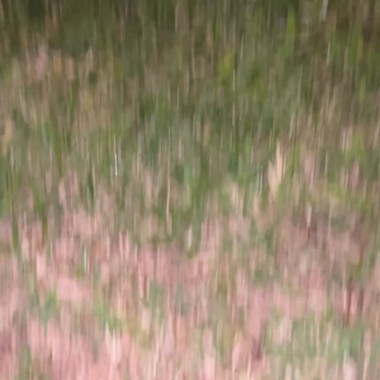 上学