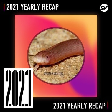 2021 个人年度精选之最
