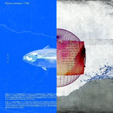 2017/12/27