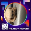 2022 个人年度精选