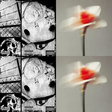D"爱