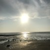随心听听