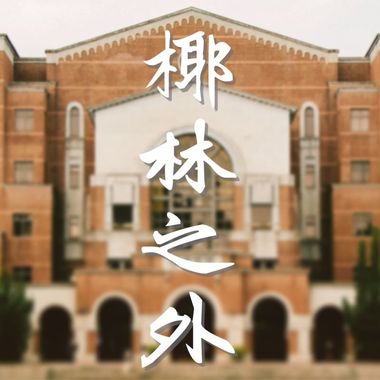 我的歌单  ?