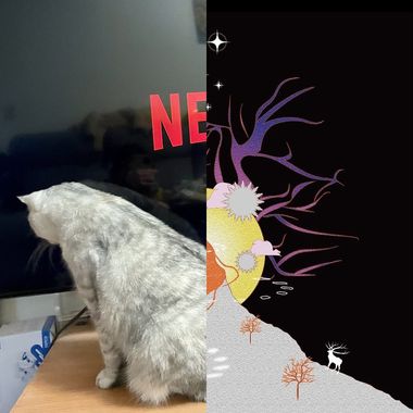 lalala