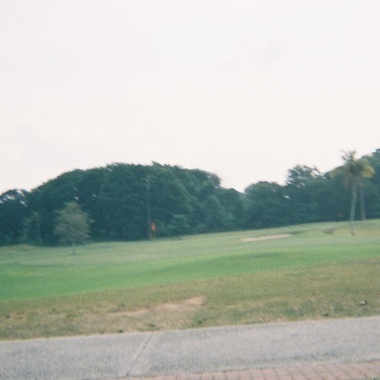 杂