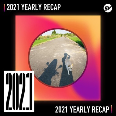 2021 个人年度精选之最