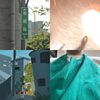 晕