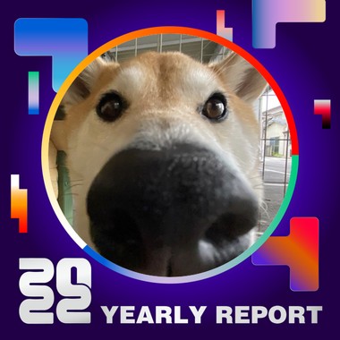 2022 个人年度精选