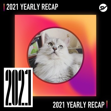 2021 个人年度精选之最