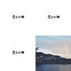 房东的猫