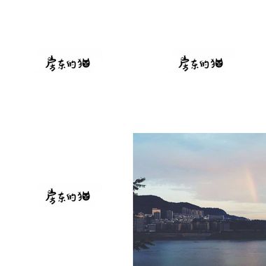 房东的猫