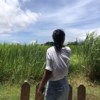 鱼?