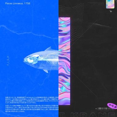 别举起手枪 这里没有反抗的人