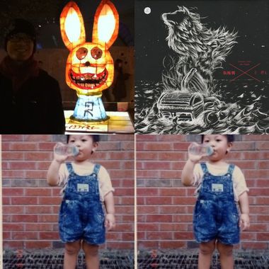 韦鸟?
