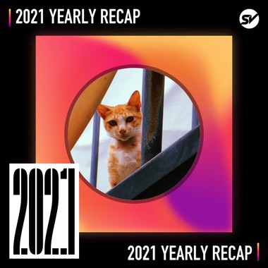 2021 个人年度精选之最