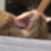 7?