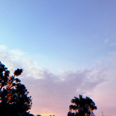 // ᴄɪɢᴀʀᴇᴛᴛᴇ ˚