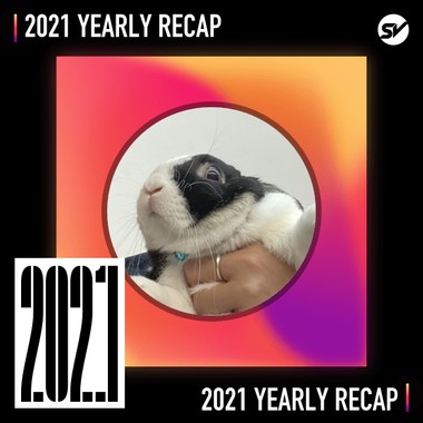 2021 个人年度精选之最
