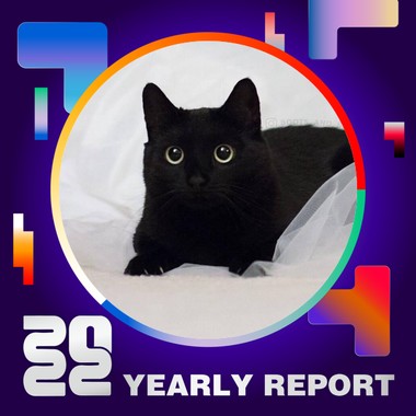 2022 个人年度精选