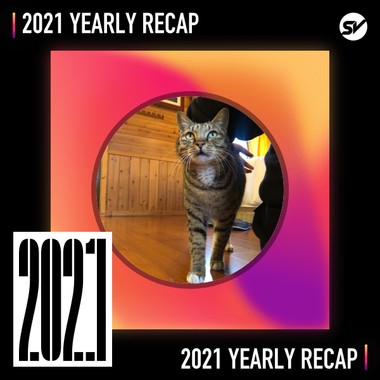 2021 个人年度精选之最