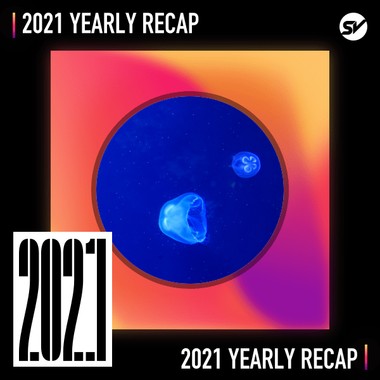 2021 个人年度精选之最