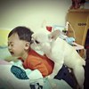 叭叭嘉年华 如果我是DJ