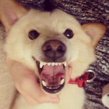 ^^