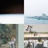 郑兴