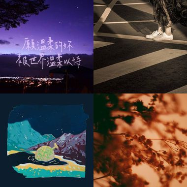 我的歌单 1