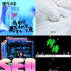 我的歌单 2