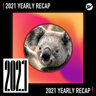 2021 个人年度精选之最
