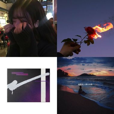 e只狗狗momo的想你👀