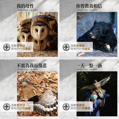 落难野孩儿与它们的守护者