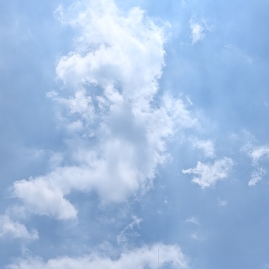 安慰剂