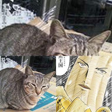 萝卜