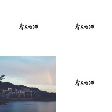 房东的猫猫喵喵
