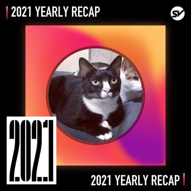 2021 个人年度精选之最