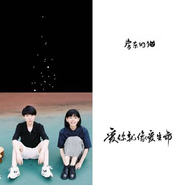 房东的猫