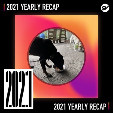 2021 个人年度精选之最