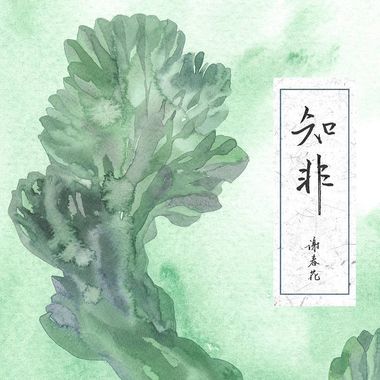 鼓+轻快歌