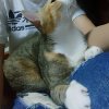 我的歌单 2孩子气