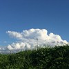 竹女毕业歌