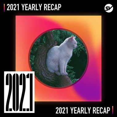 2021 个人年度精选之最